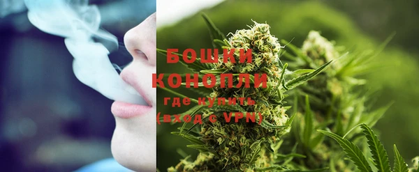 гашик Белокуриха