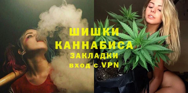 стаф Струнино