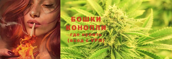 гашик Белокуриха
