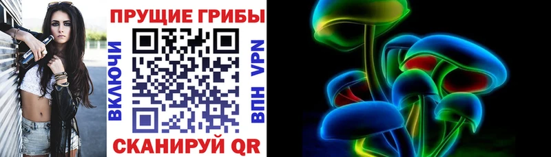 где купить наркоту  Сковородино  MEGA зеркало  Псилоцибиновые грибы Psilocybe 